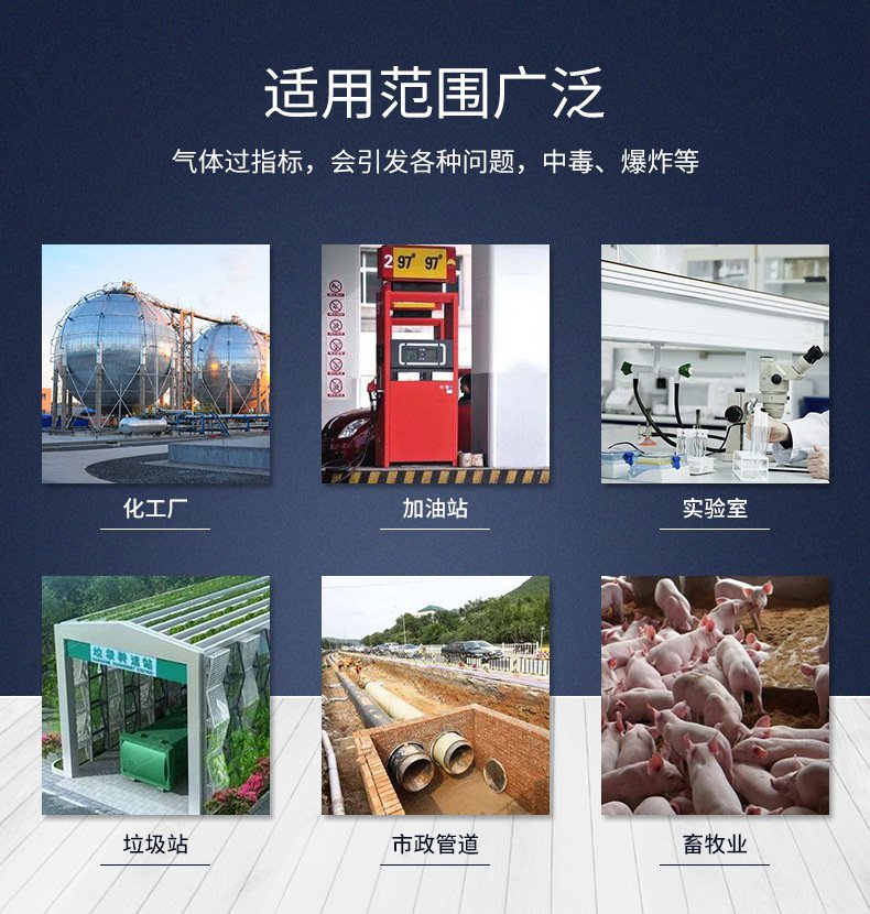 愛(ài)德克斯X-4(BX)泵吸多氣體檢測(cè)儀3.jpg