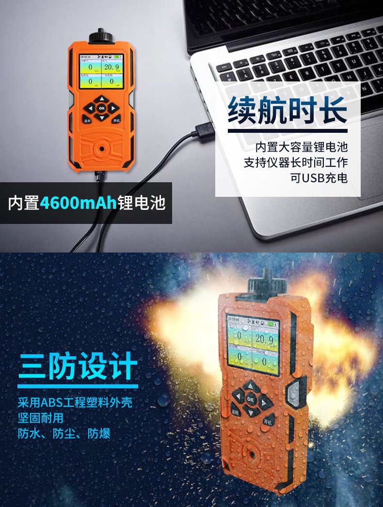 愛(ài)德克斯X-4(BX)泵吸多氣體檢測(cè)儀7.jpg
