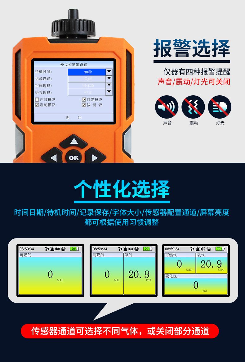 愛(ài)德克斯X-4(BX)泵吸多氣體檢測(cè)儀9.jpg